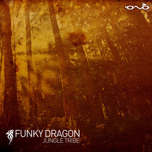 Paranoia (Funky Dragon Remix)