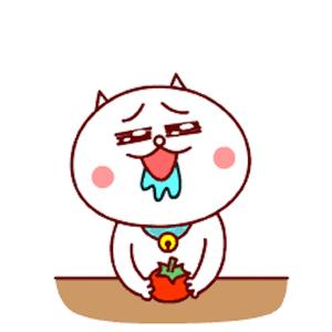 舌尖上的胖胖（Cover Fly Project）