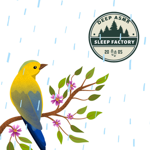 Melodic Rainfall Interlude: Chirping Birds Adding to the Rain's Cadence