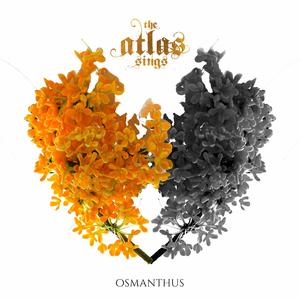 OSMANTHUS (feat. KNVWN)