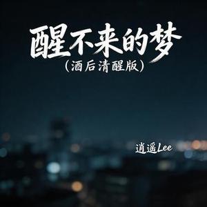 醒不来的梦