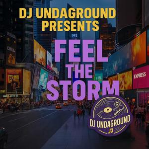 Feel the storm (Radio Edit)