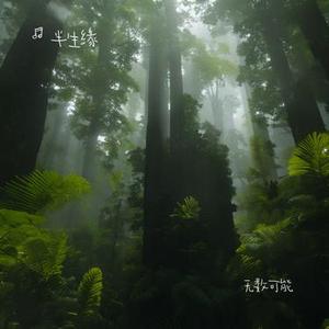 琴音绕