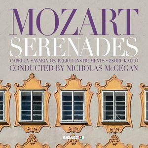 Serenade No. 7 in D Major, K. 250 "Haffner":VI. Andante