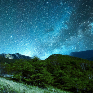 バルセヤフィヨルド地方の結婚行進曲