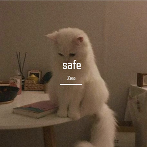 safe(完整版)