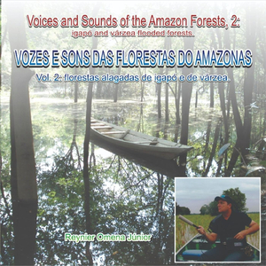 Megascops Choliba, Corujinha-Do-Mato, Tropical Screech-Owl