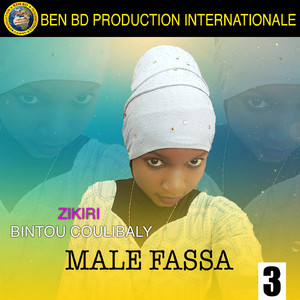 Male Fassa 3