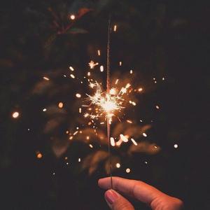 自由坚强的飞鸟