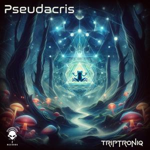 Pseudacris