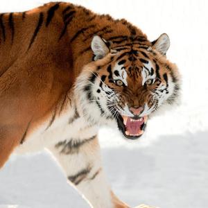 共勉（prod by 牙刷）