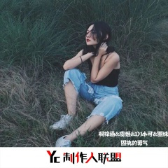 你像我见过的那个少年 (DJ版)