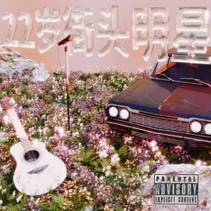 二十二岁街头明星