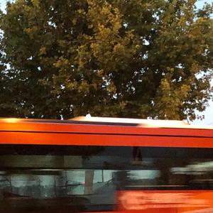 麻雀桥（feat:偶木/prodby:sanc）