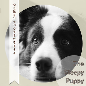 The Beauty of Silence