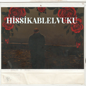 Düşürdün Aşkın Narına