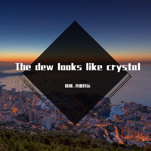 The dew looks like crystal