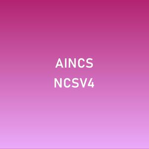 AI.NCS[I], Vol. IV