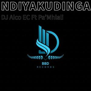 Ndiyakudinga (feat. Pa'Mhlali)