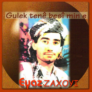 Min Dixwazin (Gula Geş)