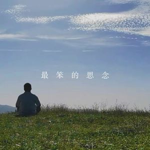 最笨的思念