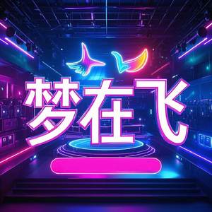 梦在飞DJ