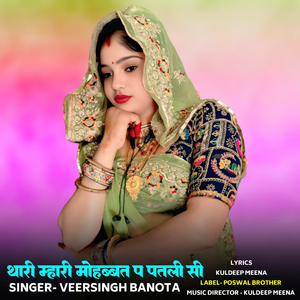 Thari Mhari Mohbbt P Patli Si