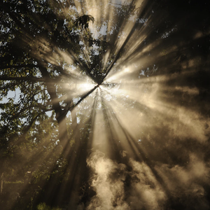 可不可以-张紫豪（0.82x）