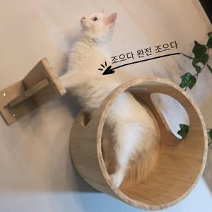 조으다 완전 조으다（By:遥啊遥）（翻自 Hari）