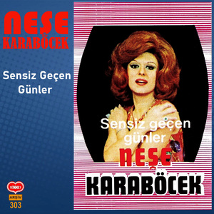 SANA DÖNMEYECEĞİM