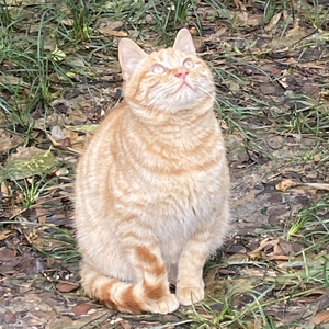 我要让你心碎（翻自达闻西）.wav