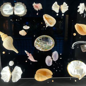 你飞向世界我飞向你