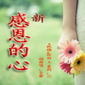 新感恩的心 （伴奏版）