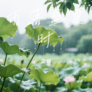 雨落盛夏时
