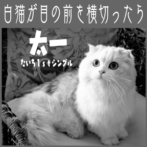 白猫が目の前を横切ったら