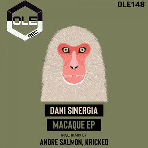 Macaque (Andre Salmon, Kricked Dub Extended Mix)