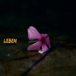 Leben