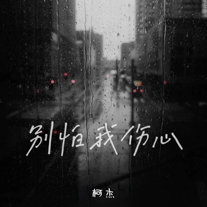 别怕我伤心（我的爱也曾经）