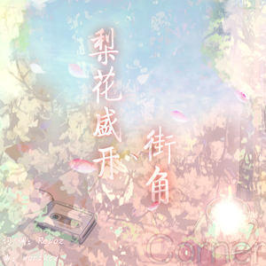 梨花盛开、街角