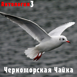 Усталый ковбой