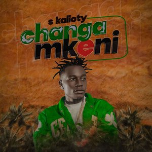 Changa Mkeni
