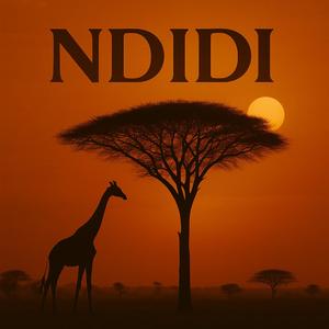 NDIDI