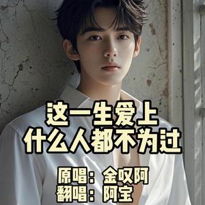 这一生爱上什么人都不为过（高音质）