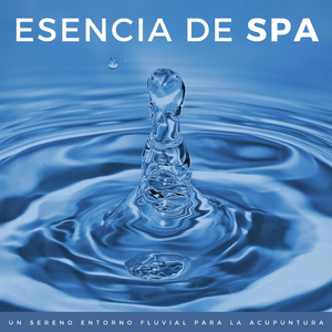 Spa Y Acupuntura