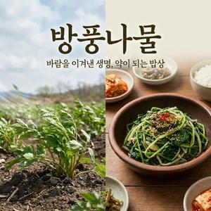 바람을 이기는 나물