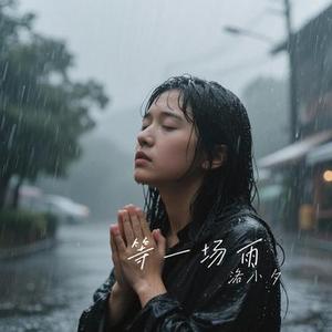 等一场雨