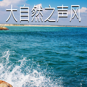 大自然之声风,3部