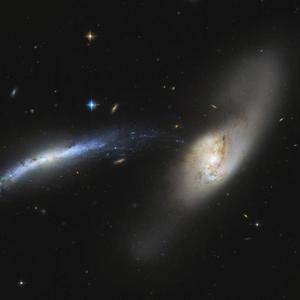 [FREE] " Walk in Space "