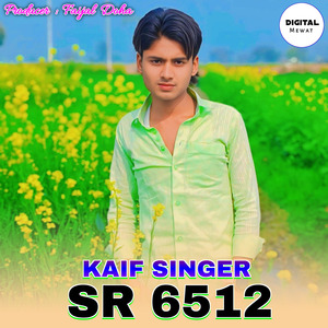Kaif Singer SR 6512