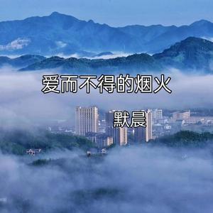 爱而不得的烟火